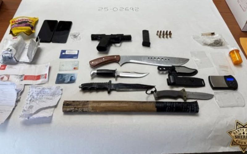 Convicted Felon Arrested After Deputies Find Weapons, Drugs, and Stolen Property During Traffic Stop