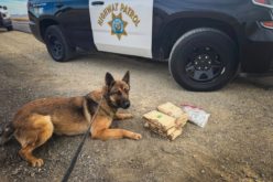 CHP Reportedly Seizes 13 Pounds of Cocaine During Traffic Stop in Merced County