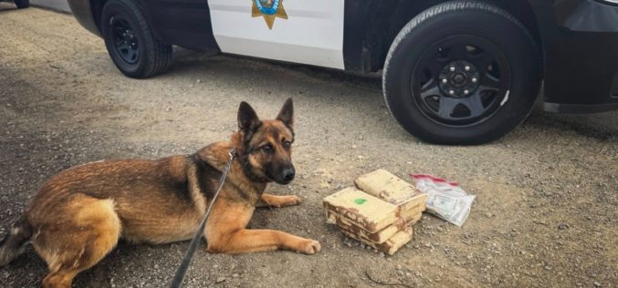 CHP Reportedly Seizes 13 Pounds of Cocaine During Traffic Stop in Merced County