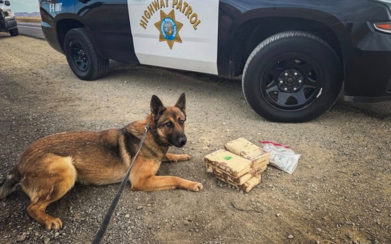 CHP Reportedly Seizes 13 Pounds of Cocaine During Traffic Stop in Merced County