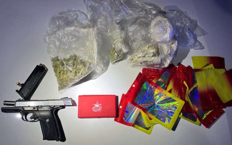 Traffic Stop leads to Drug Bust