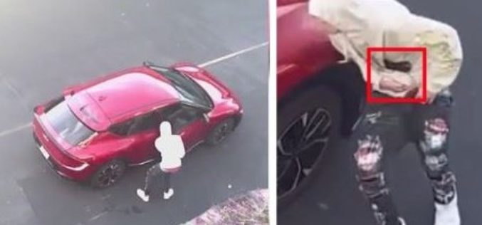 Tiburon Armed Robbery Suspect Arrested in Colorado