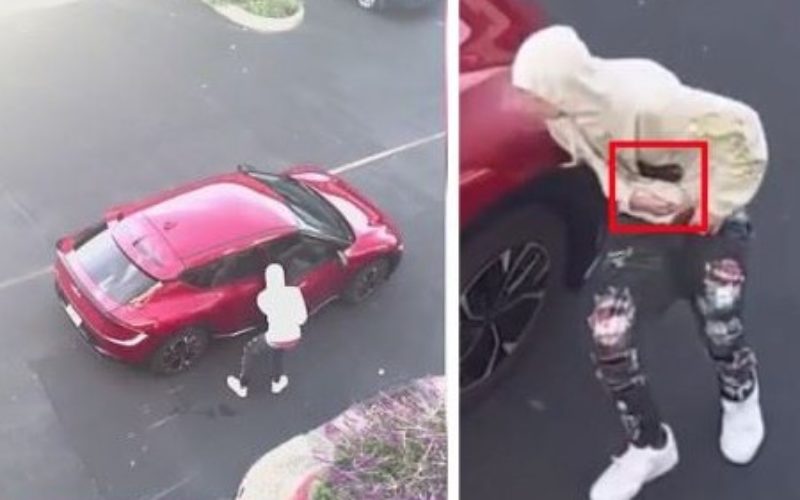 Tiburon Armed Robbery Suspect Arrested in Colorado