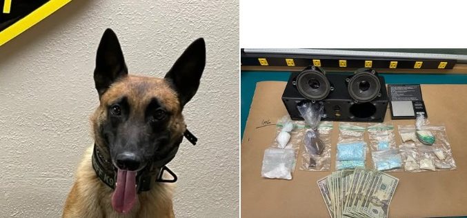 Monterey County Deputies Arrest Man for Narcotics Sales and Outstanding Warrants