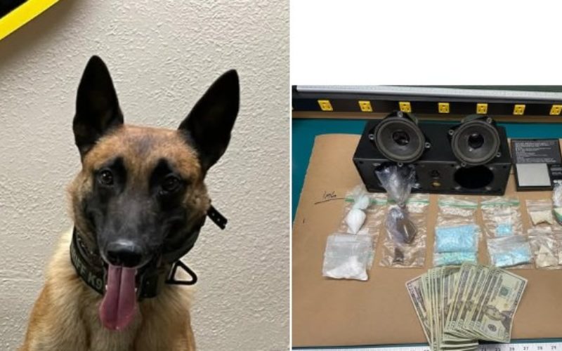 Monterey County Deputies Arrest Man for Narcotics Sales and Outstanding Warrants