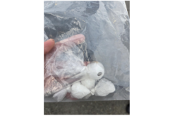 Motorist Arrested After Allegedly Fleeing Deputy, Crashing Into Other Motorist