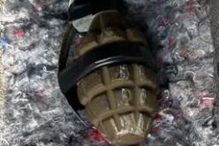 Suspect Arrested for Stealing a Car and Throwing a Grenade