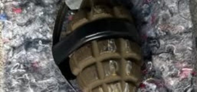 Suspect Arrested for Stealing a Car and Throwing a Grenade