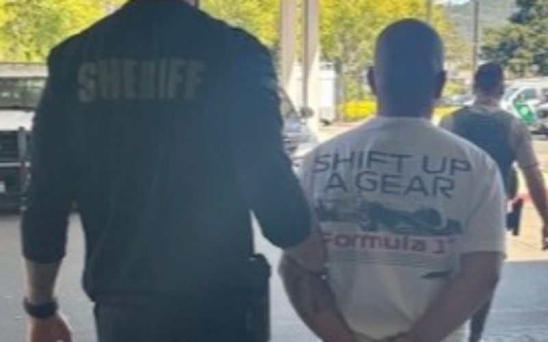 Man Arrested Twice Implicated in Video Game Thefts at Libraries