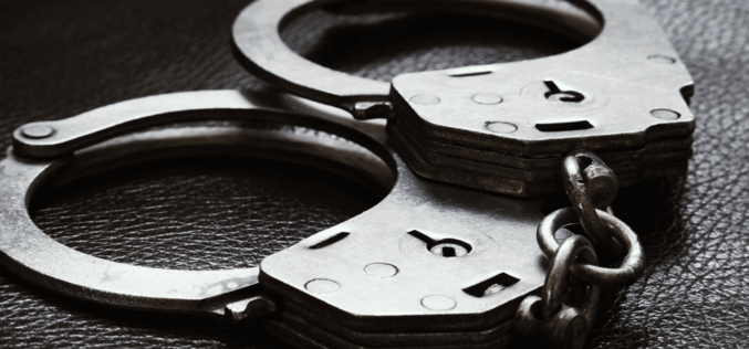 54-year old Woman Arrested for Grand Theft