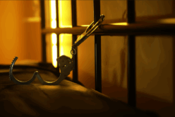 Modoc County Jail Report: DUI, Warrant, and License Violations in Latest Arrests