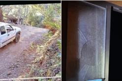 Pine Grove Burglary Suspect Caught After Reporting His Own Theft