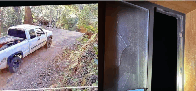 Pine Grove Burglary Suspect Caught After Reporting His Own Theft