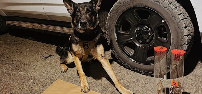 K9-Assisted Narcotics Investigation Leads to Arrests, Firearm Seizure in Grass Valley