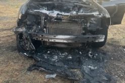 Father Suspected of Arson and Brandishing Firearm; Son Arrested on Felony Warrant in Camanche Parkway Incident