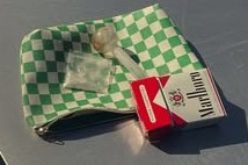 Novato Woman with Lengthy Rap Sheet, Arrested Again