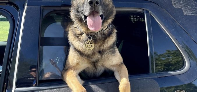 K-9 Officer ends pursuit – Teen Arrested