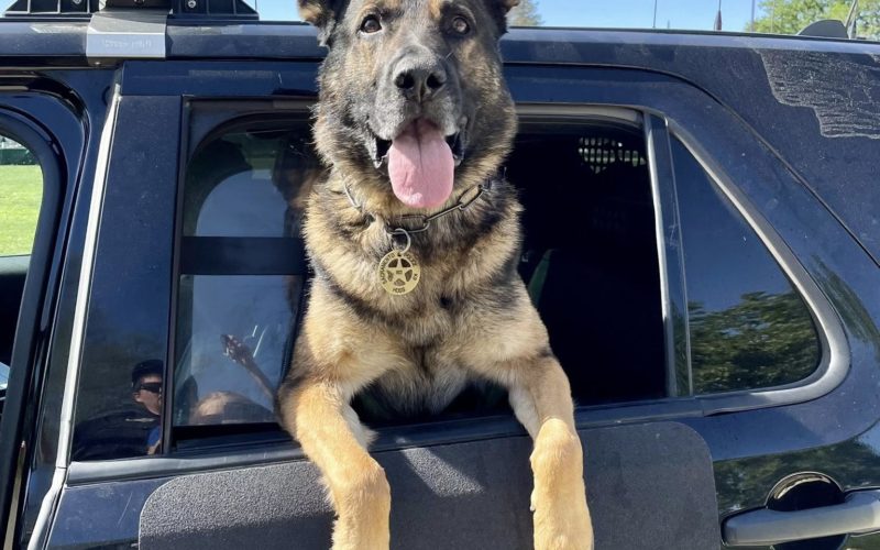 K-9 Officer ends pursuit – Teen Arrested