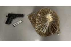 Shasta County Man Arrested for Alleged Illegal Cannabis Cultivation, Distribution