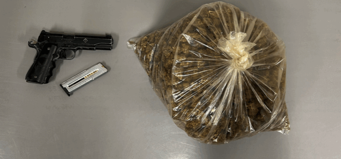 Shasta County Man Arrested for Alleged Illegal Cannabis Cultivation, Distribution