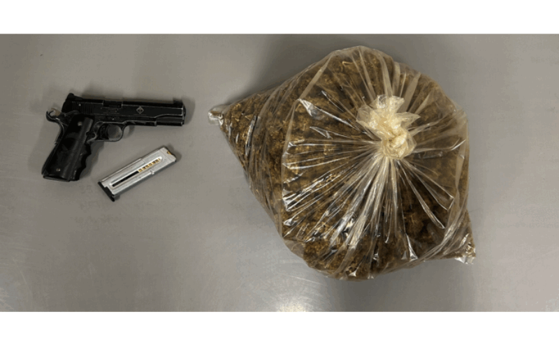 Shasta County Man Arrested for Alleged Illegal Cannabis Cultivation, Distribution