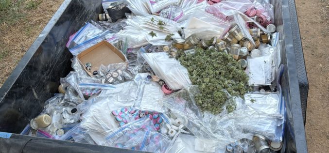 Massive Cannabis Busts Across Nevada County