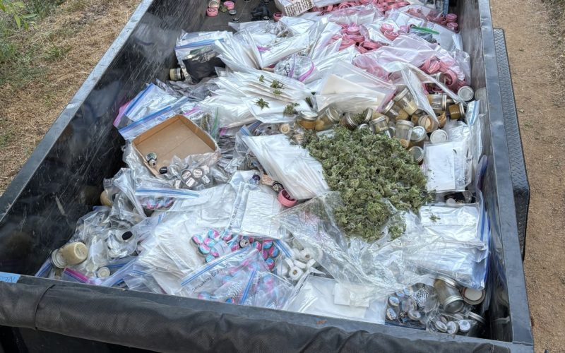 Massive Cannabis Busts Across Nevada County