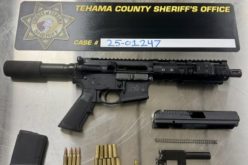 Juvenile Arrested After Firearm Discovered During Traffic Stop