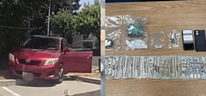 Traffic Stop Ends in Crash and Drug Seizure