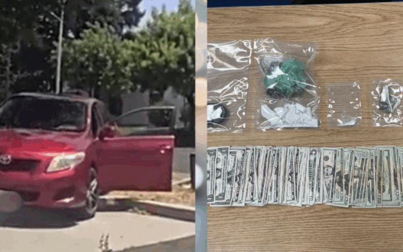 Traffic Stop Ends in Crash and Drug Seizure