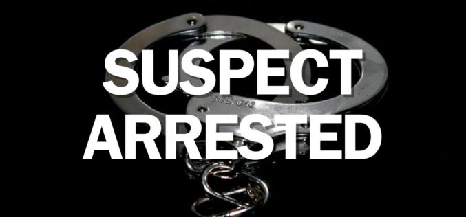 Fatal Hit-and-Run Suspect Reportedly Turns Himself In