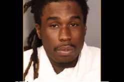 Gang Member Taken Down by K-9 in North Highlands