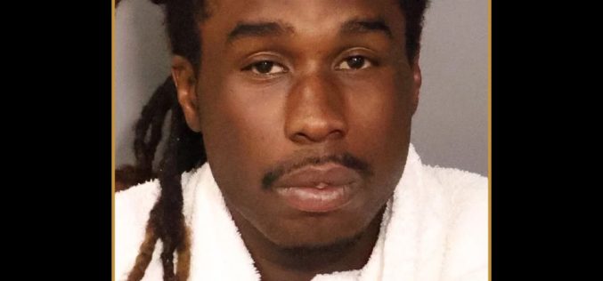 Gang Member Taken Down by K-9 in North Highlands