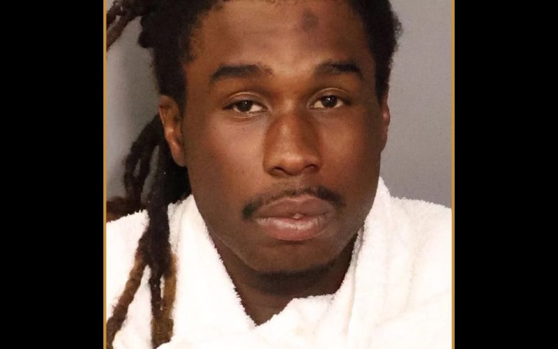 Gang Member Taken Down by K-9 in North Highlands