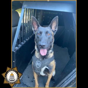 K9 Officer - Courtesy of SCSO