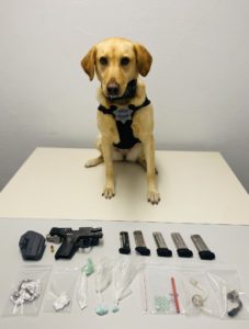 K9 Riley & Seized Evidence - Courtesy of Marina PD 