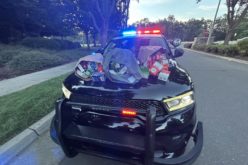 Traffic Stop Leads to Arrests in Regional Theft Cases