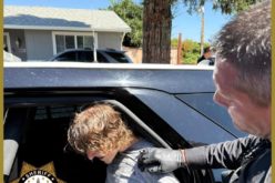 K-9 Tito Takes Down Suspect in Police Standoff