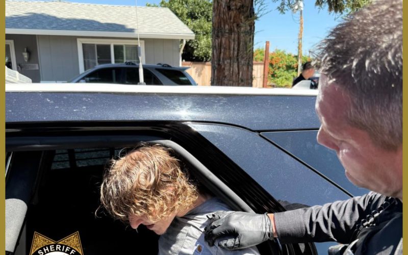 K-9 Tito Takes Down Suspect in Police Standoff