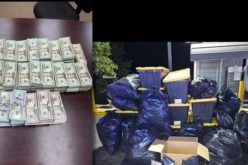 Traffic Stop in Upper Lake Leads to Seizure of 400 Pounds of Psilocybin Mushrooms and $370,000 Cash