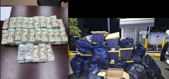 Traffic Stop in Upper Lake Leads to Seizure of 400 Pounds of Psilocybin Mushrooms and $370,000 Cash