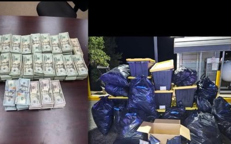 Traffic Stop in Upper Lake Leads to Seizure of 400 Pounds of Psilocybin Mushrooms and $370,000 Cash