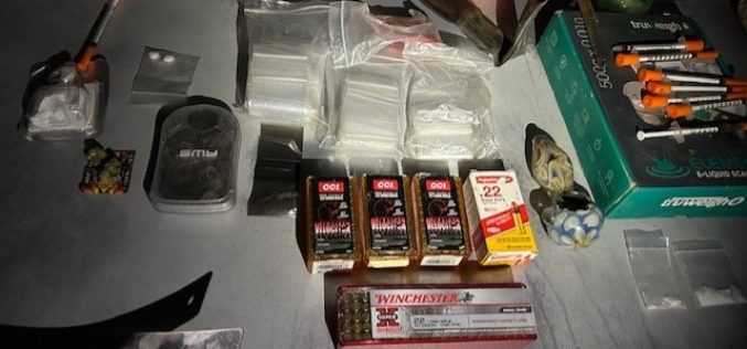 Felon Arrested with Ammunition and Narcotics During Park Enforcement Operation in Red Bluff