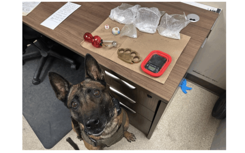 Two Arrested on Narcotics Charges During Traffic Stop in Eureka