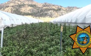 Image from Scene - Courtesy of PCSO