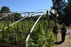 Image from scene - Courtesy of HCSO