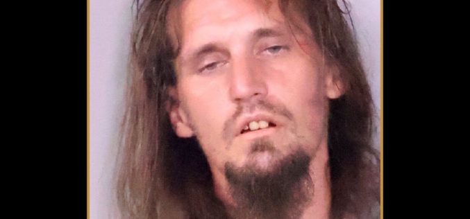 Operation SPF-13:  Sacramento Valley Hi-Tech Crimes Task Force Arrests 13 Suspects Who Reportedly Sought To Meet Children for Sex