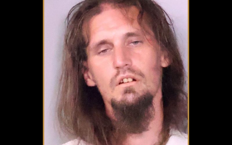 Operation SPF-13:  Sacramento Valley Hi-Tech Crimes Task Force Arrests 13 Suspects Who Reportedly Sought To Meet Children for Sex