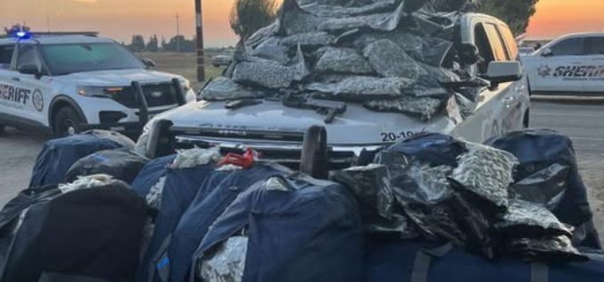 Stanislaus County Deputies Seize Firearms and 600 Pounds of Marijuana After Domestic Dispute in Ceres