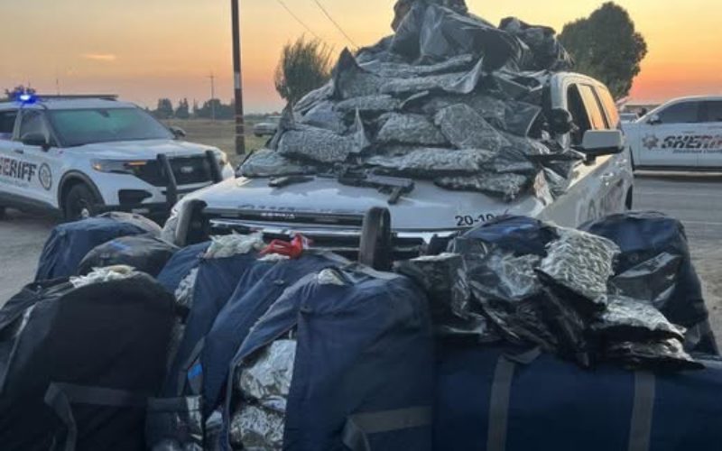 Stanislaus County Deputies Seize Firearms and 600 Pounds of Marijuana After Domestic Dispute in Ceres